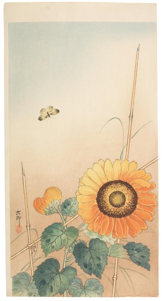 Жорж брак Подсолнухи