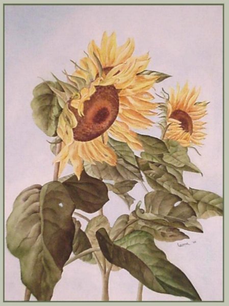 Подсолнухи акрилом на холсте