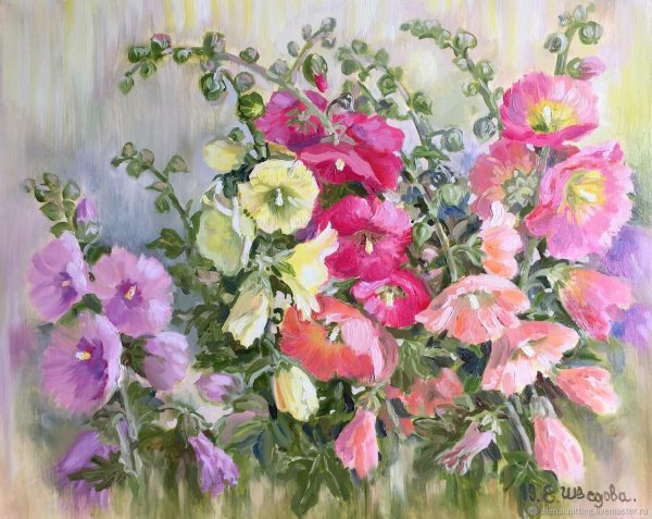 Мальвы Сьюзен Борден