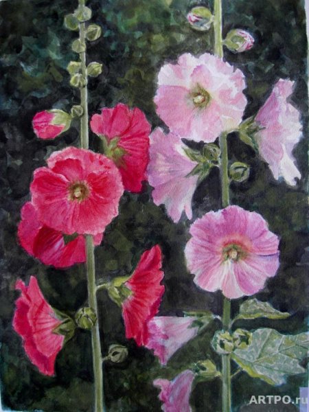 Акварель мальвы Елены Николаевой