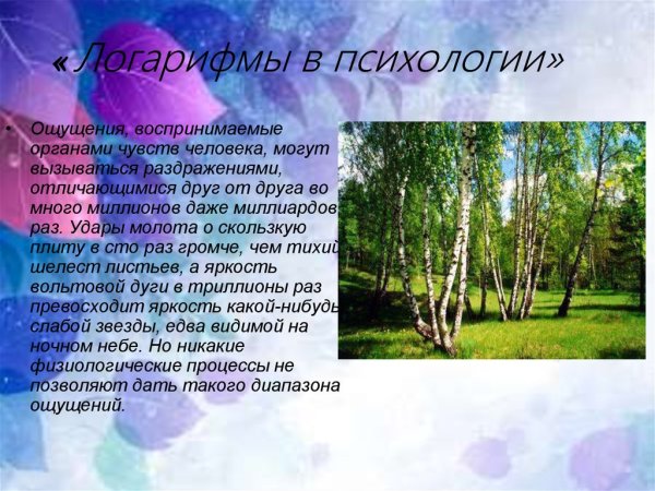 Сальвадор дали Кружевница