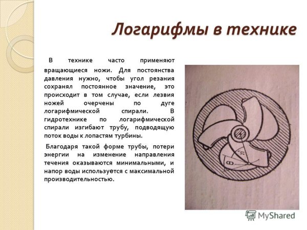 Рафаэль избиение младенцев золотое сечение