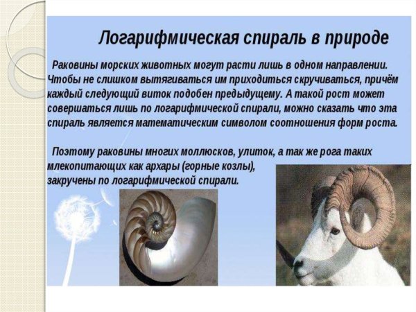 Логарифмы в астрономии