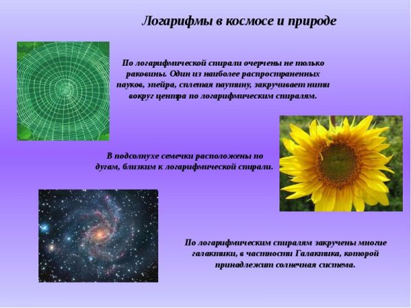 Золотое сечение в живописи Леонардо да Винчи