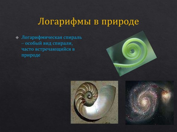 Логарифм спираль