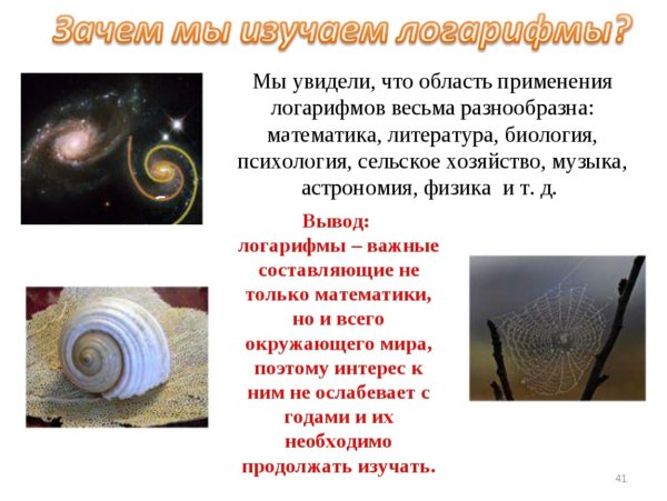 Логарифмическая спираль в архитектуре