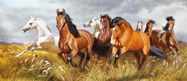 Картина табун лошадей