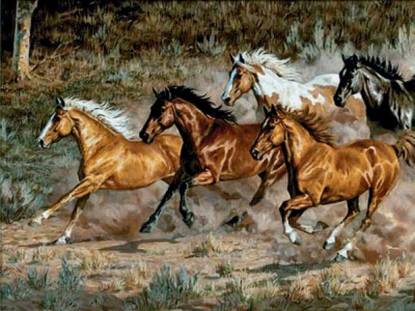 Картина табун лошадей
