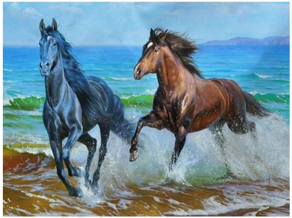 Лошадь бежит по морю