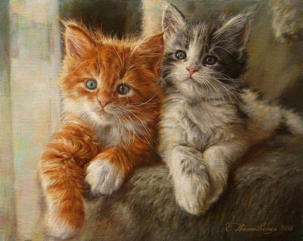 Екатерина Калиновская художник кошки