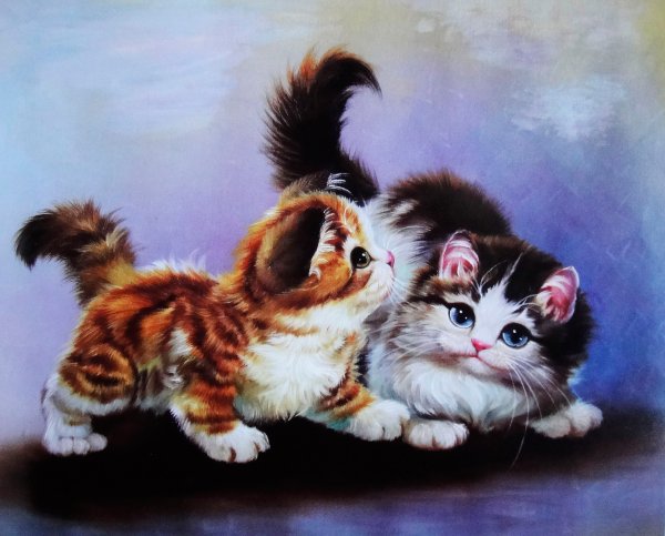 Кошки художника Сюй Синьци