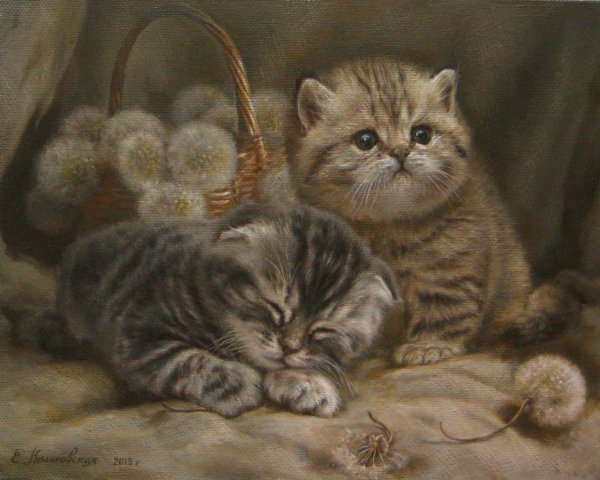 Екатерина Калиновская художник кошки