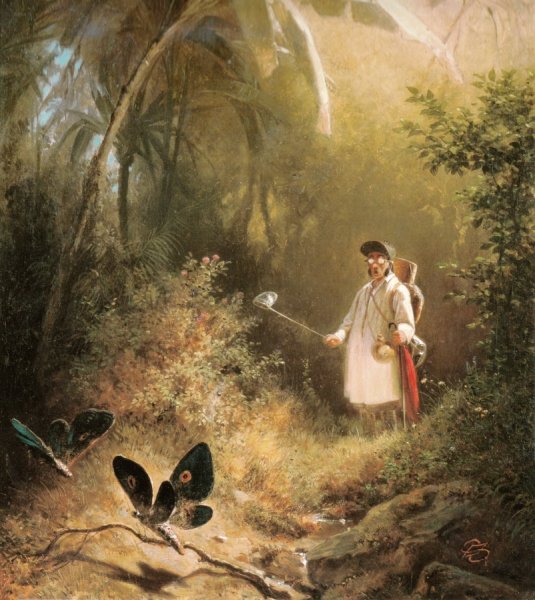 Карл Шпицвег(1808 - 1885)