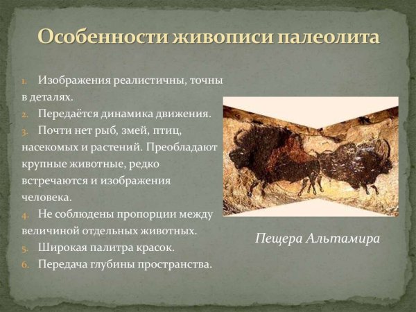 Основные черты палеолита