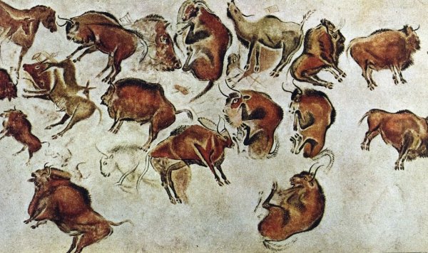 План пещеры Ласко