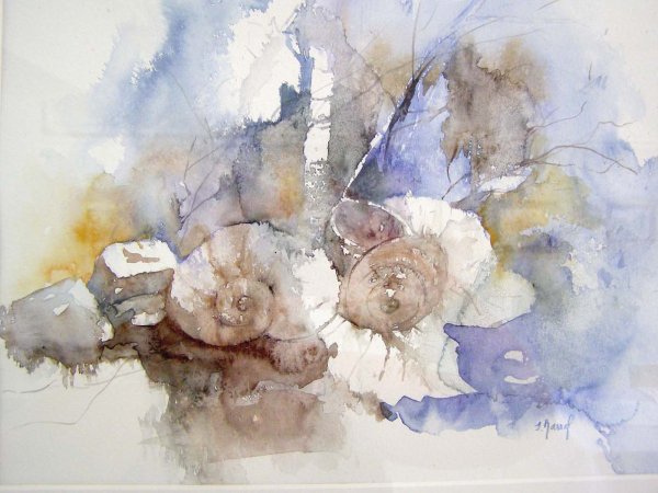 Акварели французской художницы Josette Marrel
