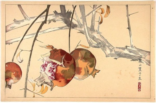 Художник Rakusan Tsuchiya