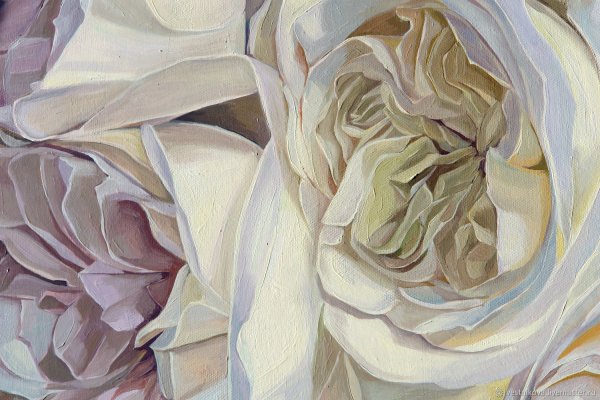 Белые розы живопись