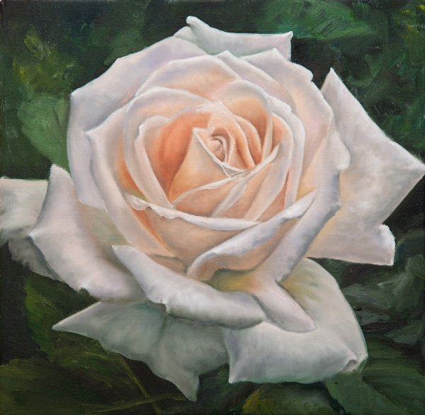 Белые розы живопись маслом