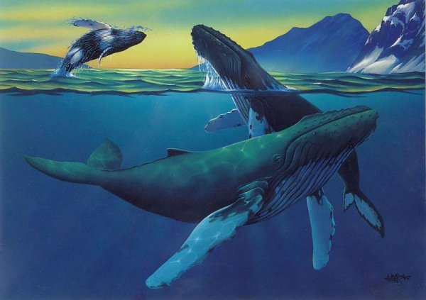 Картина два кита