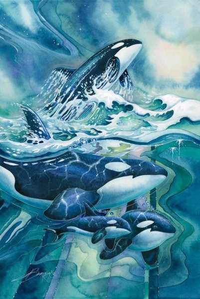 Касатка и Дельфин