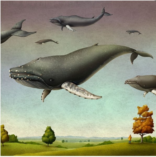 Адам Пикальский,