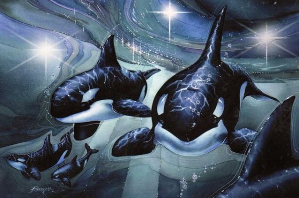 Касатка арт