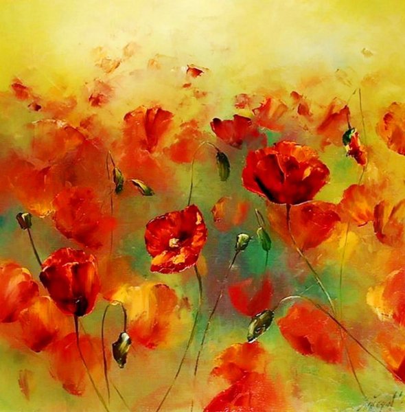 Willem Haenraets маки