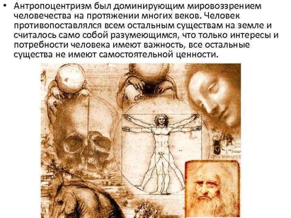 Антропоцентризм Аристотель