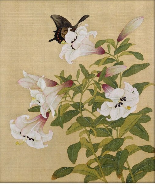 Лилия китайская картина