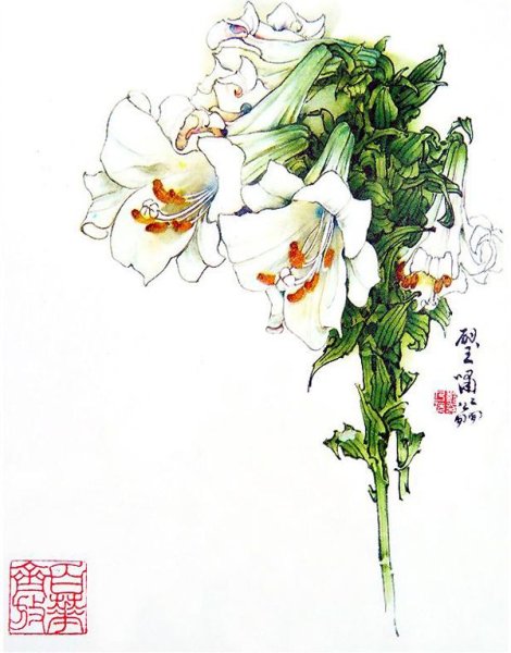 Корейские рисунки цветов