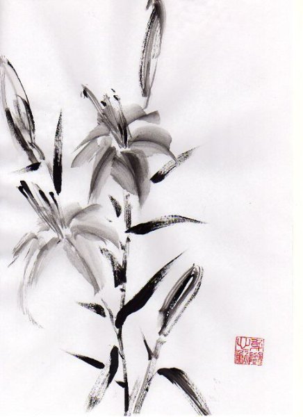 Суми э Лилия