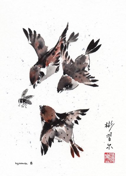 Суми э птицы