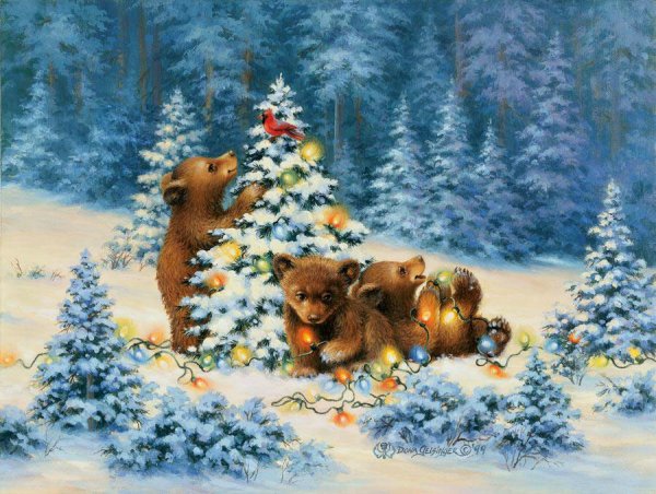 Дональд Золан Санта Клаус