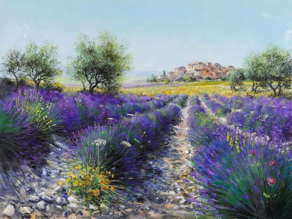 Художник Sung Kim Лавандовые поля