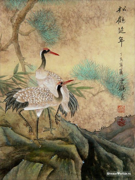 Хуа Няо Китай