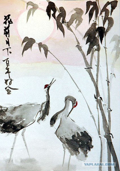 Красноголовый журавль тантёдзуру