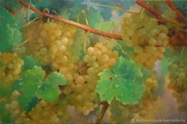 А . Южаков виноград