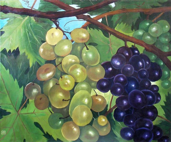 Картина Апеллеса виноград