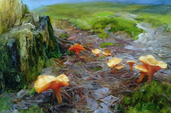 Растительные краски