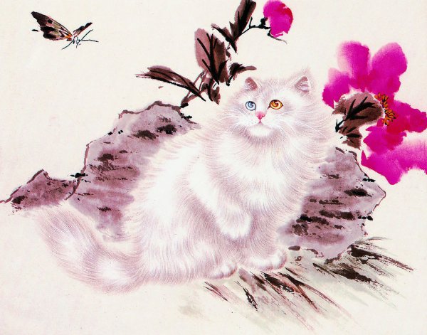 Гохуа кошки