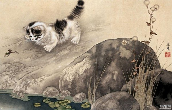 Китайские коты ГУ Йинчжи