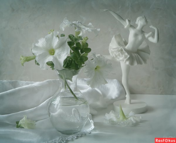 Натюрморт нежность