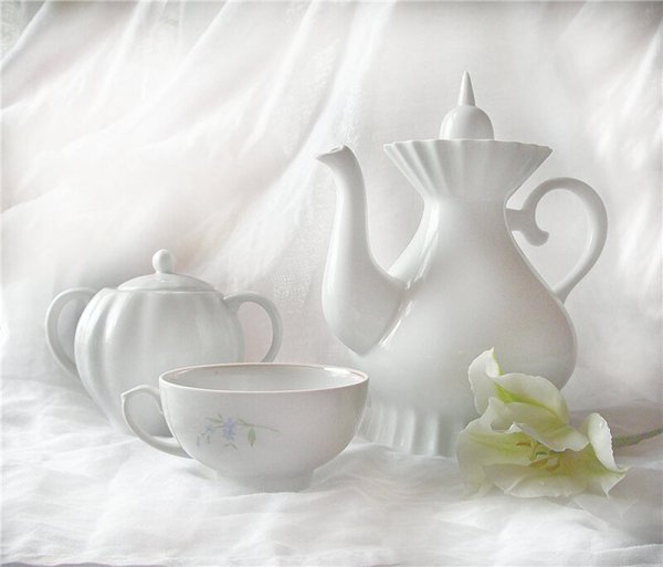 Натюрморт белое на белом живопись