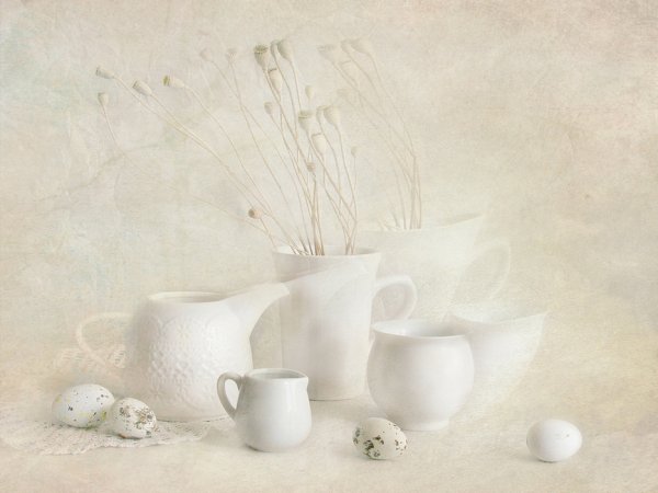 Натюрморт белое на белом