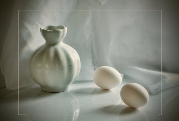 Базанова Елена белый натюрморт