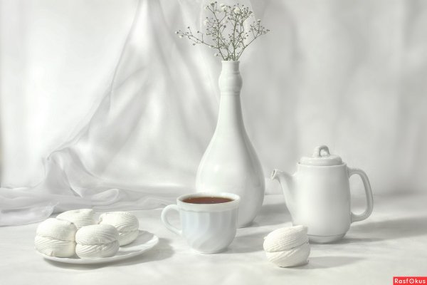 Светлые натюрморты живопись