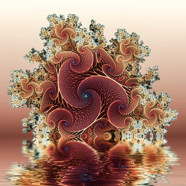 Фрактал Берримана Лэнгфорда