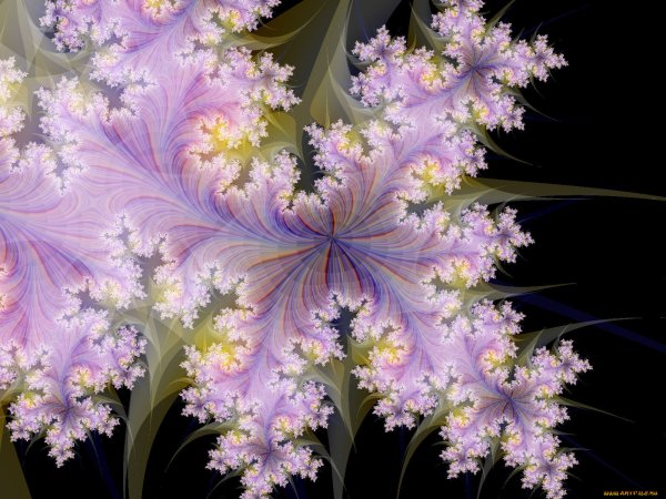 Фрактальная Графика птицы