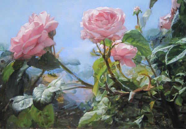 Гелена Павленко розы